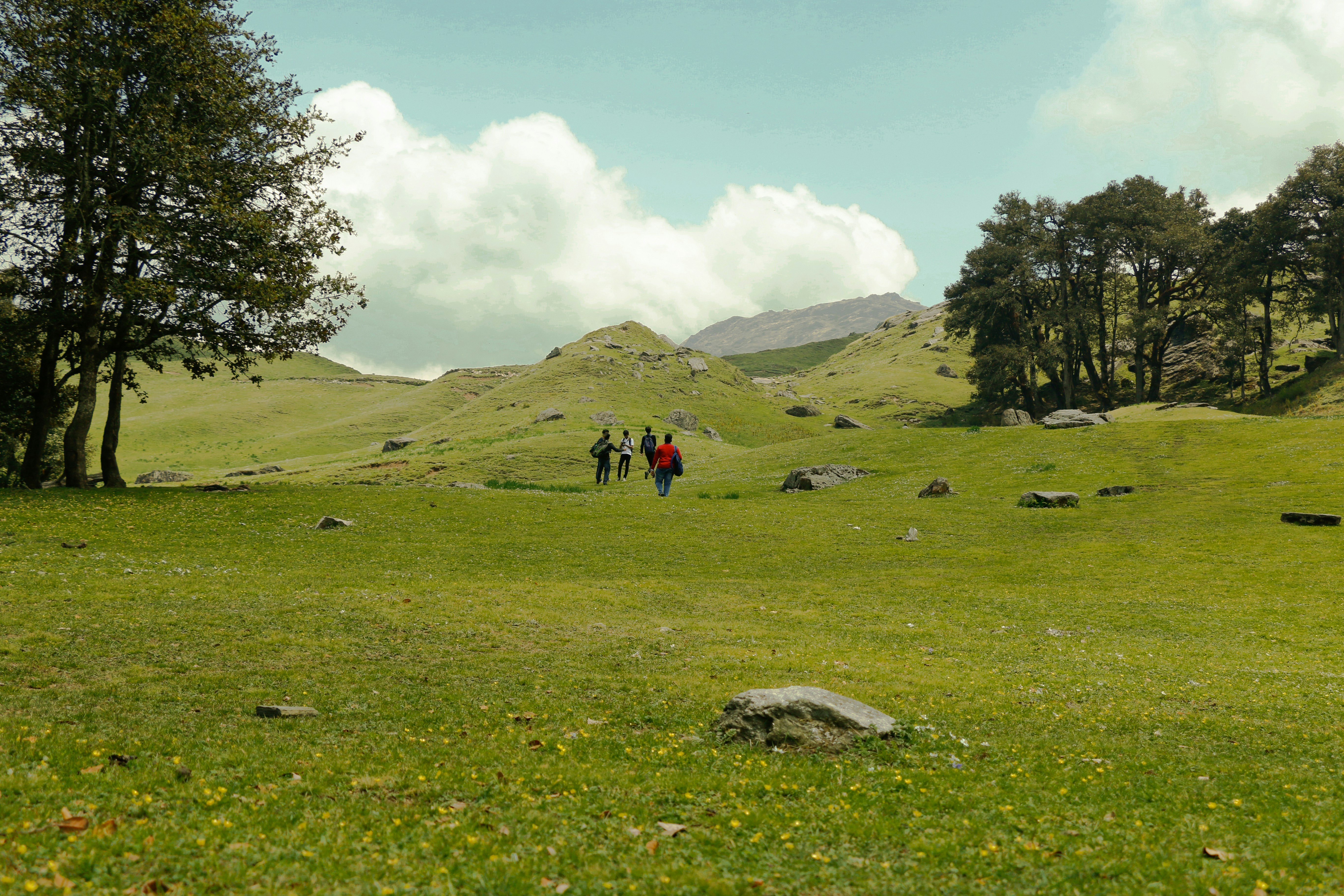 Free Unsplash photo from Neel Ghelani