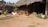 A rural scene with several chickens walking around a dirt courtyard in front of a thatched-roof hut. A bicycle is parked on the left side, and a goat is tied near the hut. The background features palm trees, and there is a bright, sunny atmosphere.