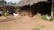A rural scene with several chickens walking around a dirt courtyard in front of a thatched-roof hut. A bicycle is parked on the left side, and a goat is tied near the hut. The background features palm trees, and there is a bright, sunny atmosphere.