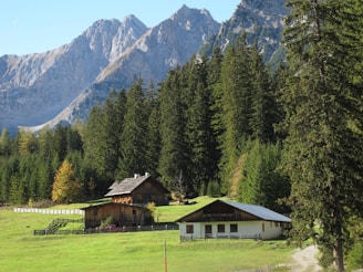 A serene landscape featuring a rustic wooden cabin and a barn nestled in a lush green meadow. Towering pine trees surround the area, and majestic mountains rise in the background under a clear blue sky.