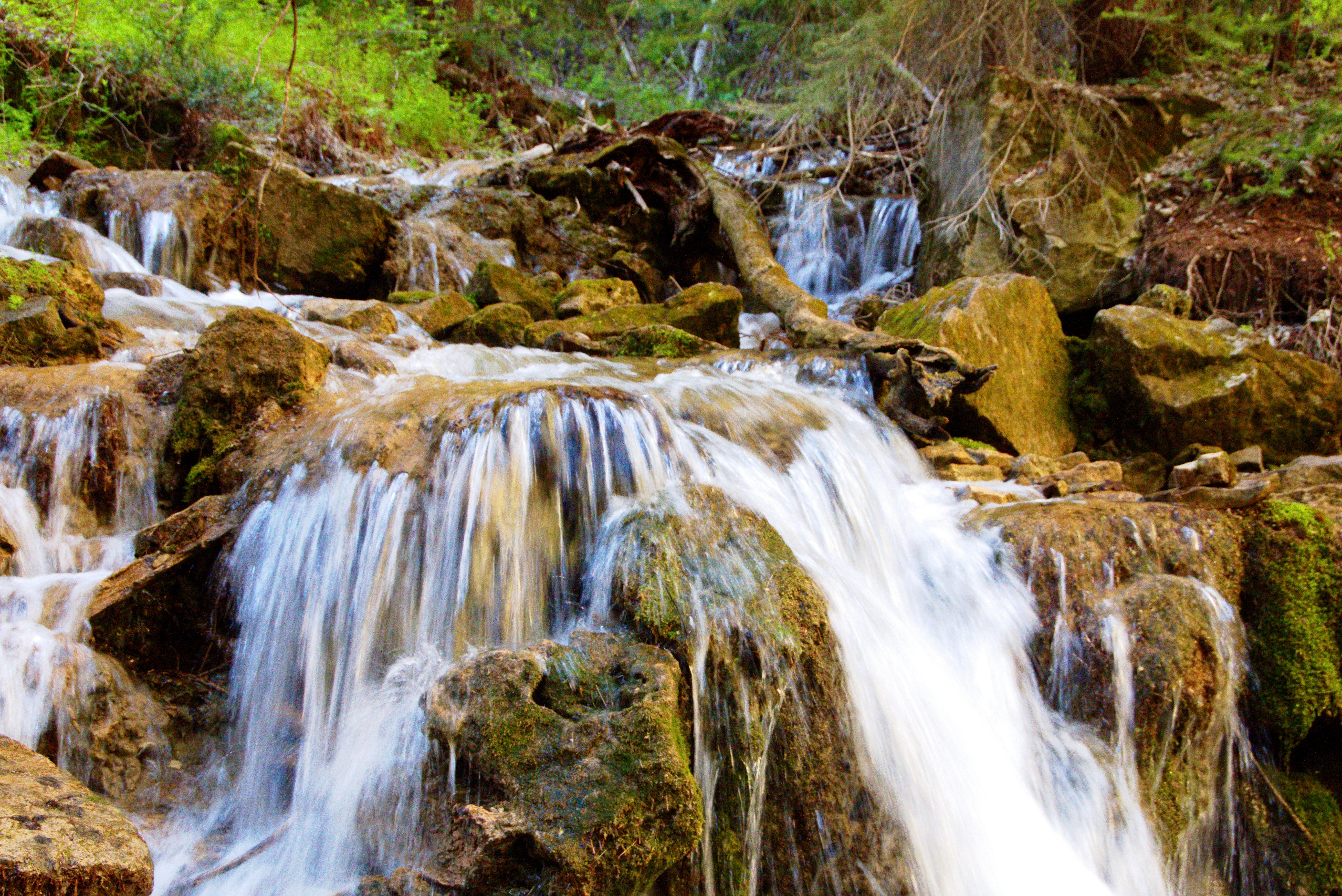 Free Unsplash photo from Stephen Oliver