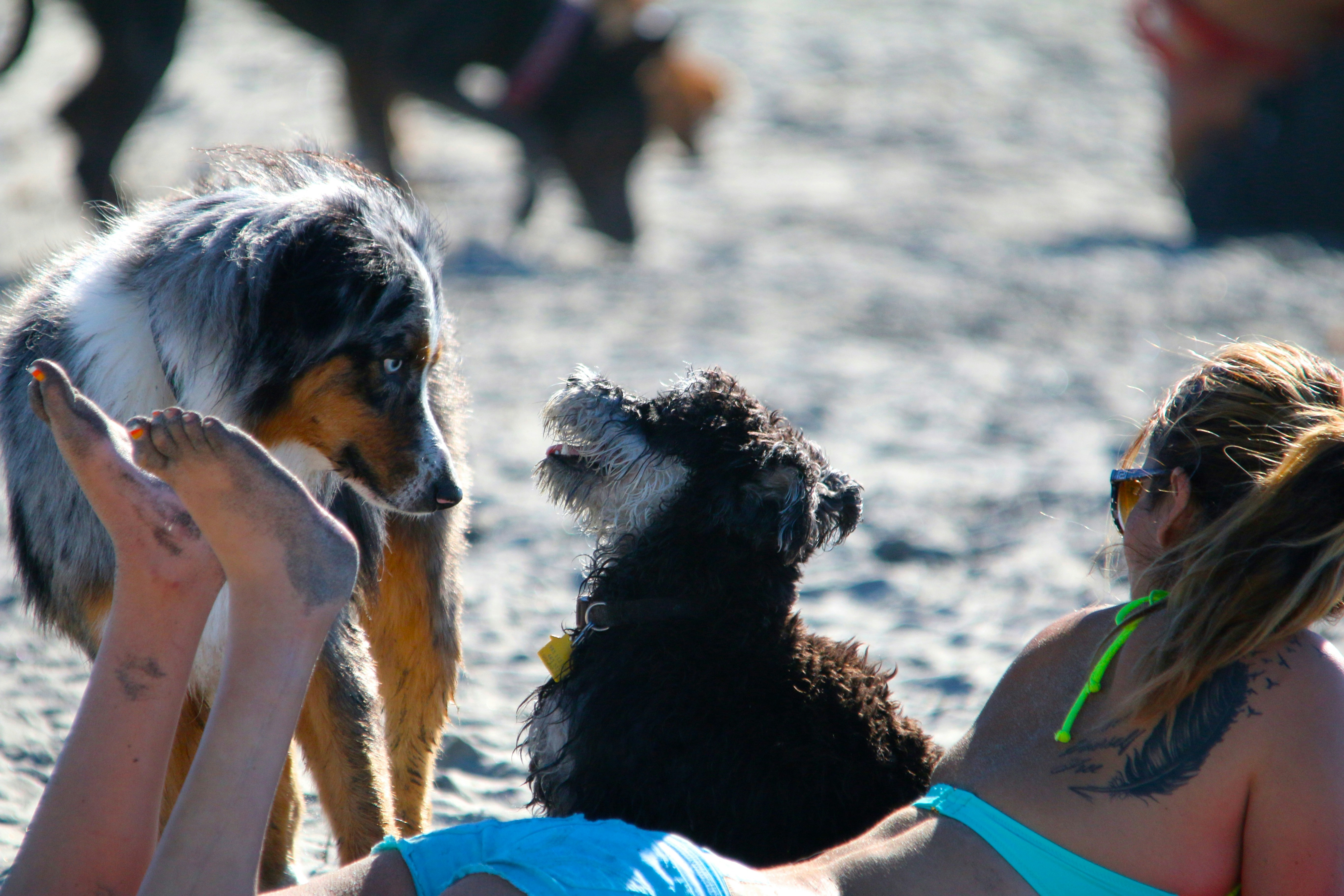 Free Unsplash photo from Stephen Oliver