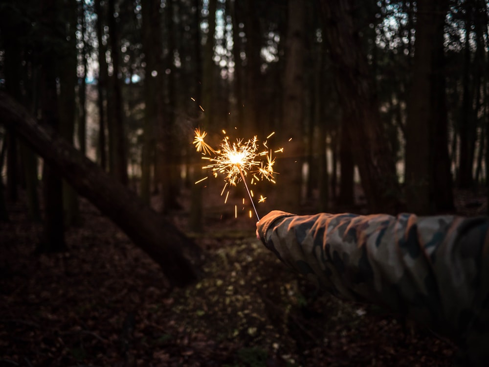 person holding sparkler at the middle of forest