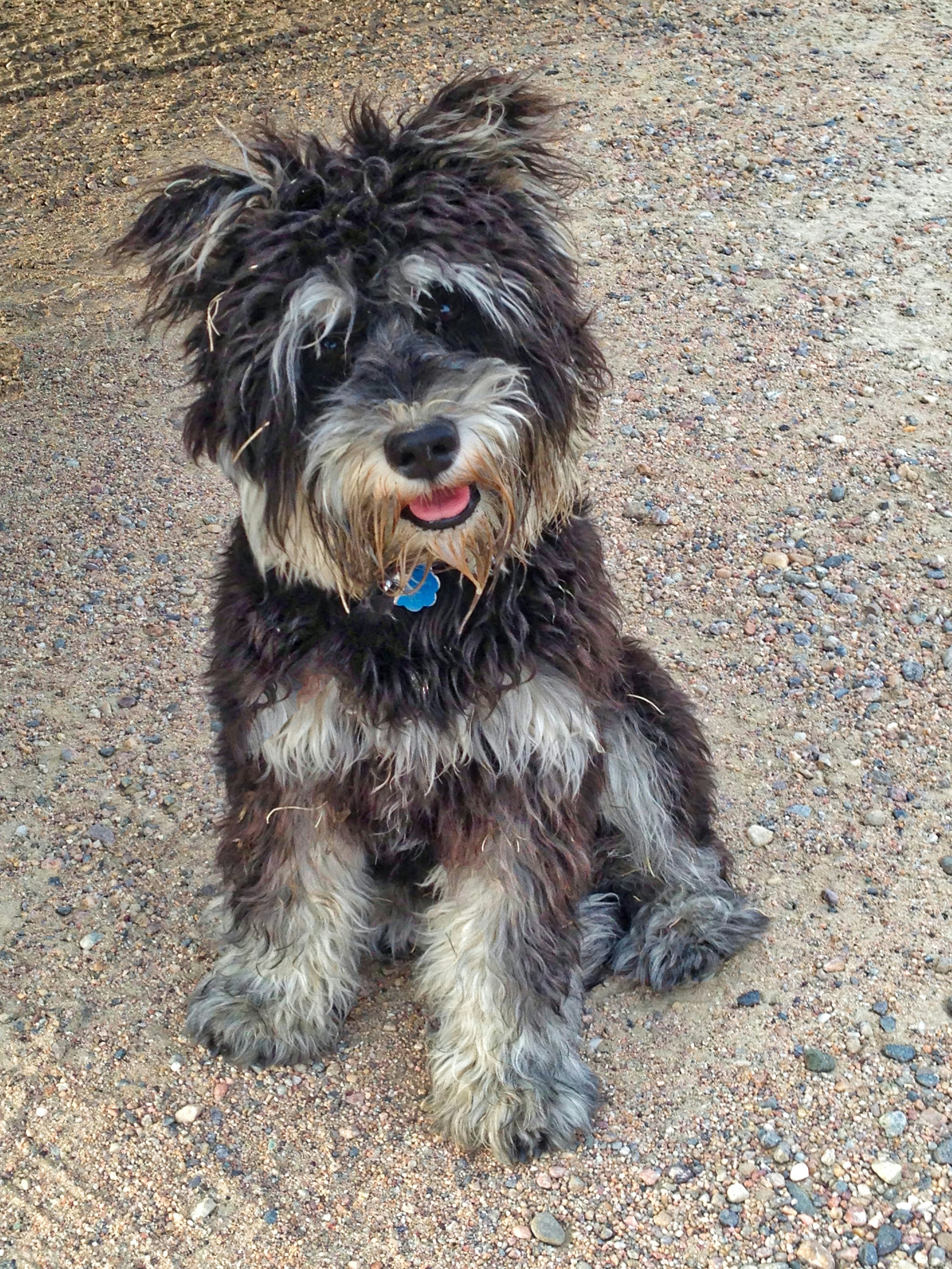 Free Unsplash photo from Stephen Oliver