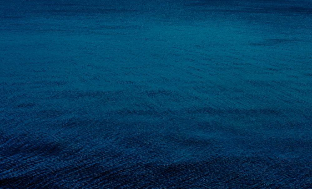 青い水の選択焦点撮影