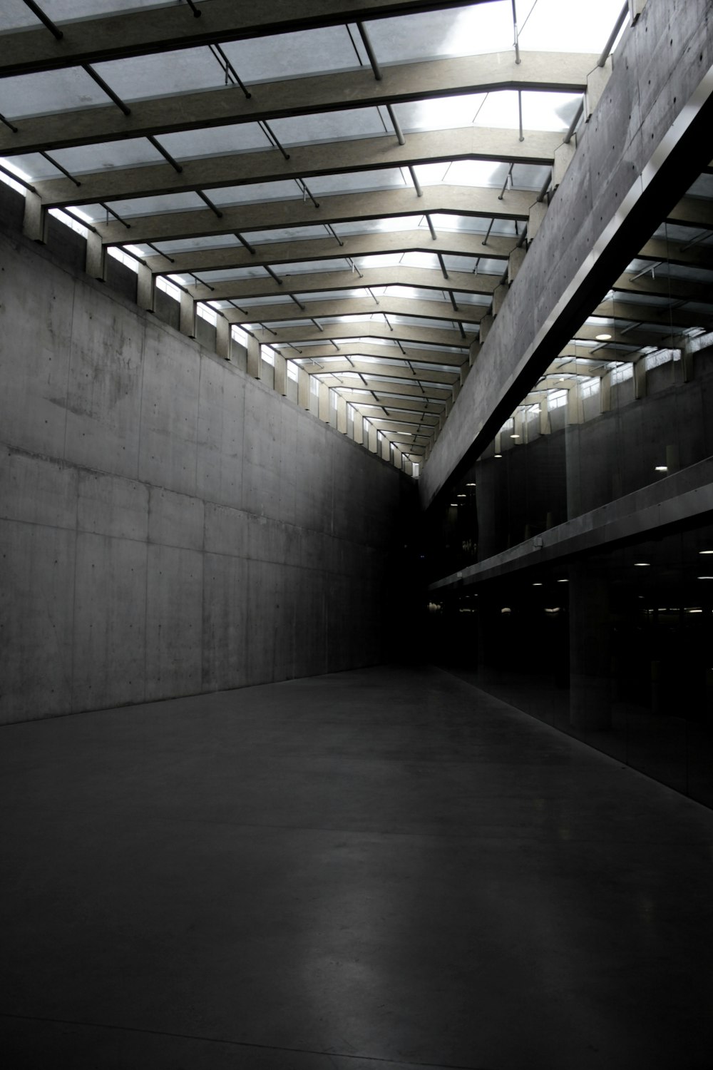 photography of hallway