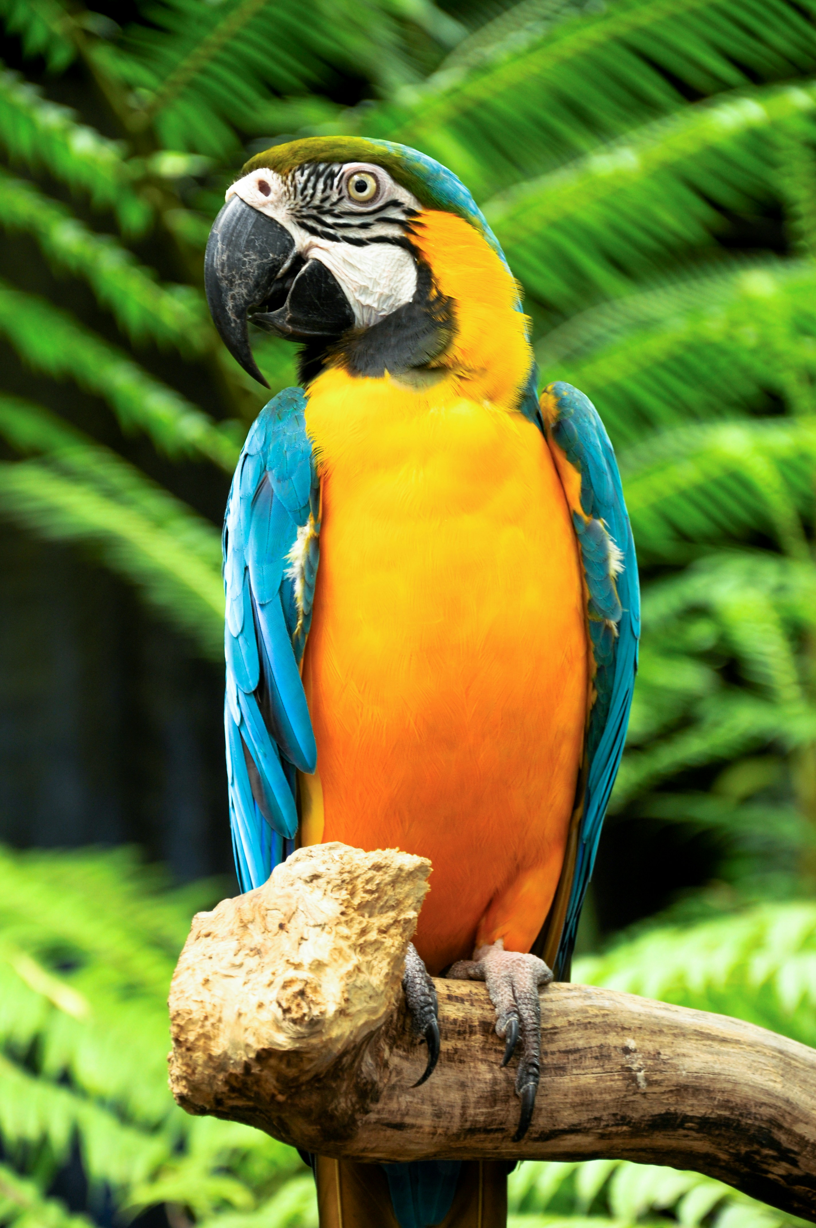 Free Unsplash photo from Tiffany Cher Cuevas