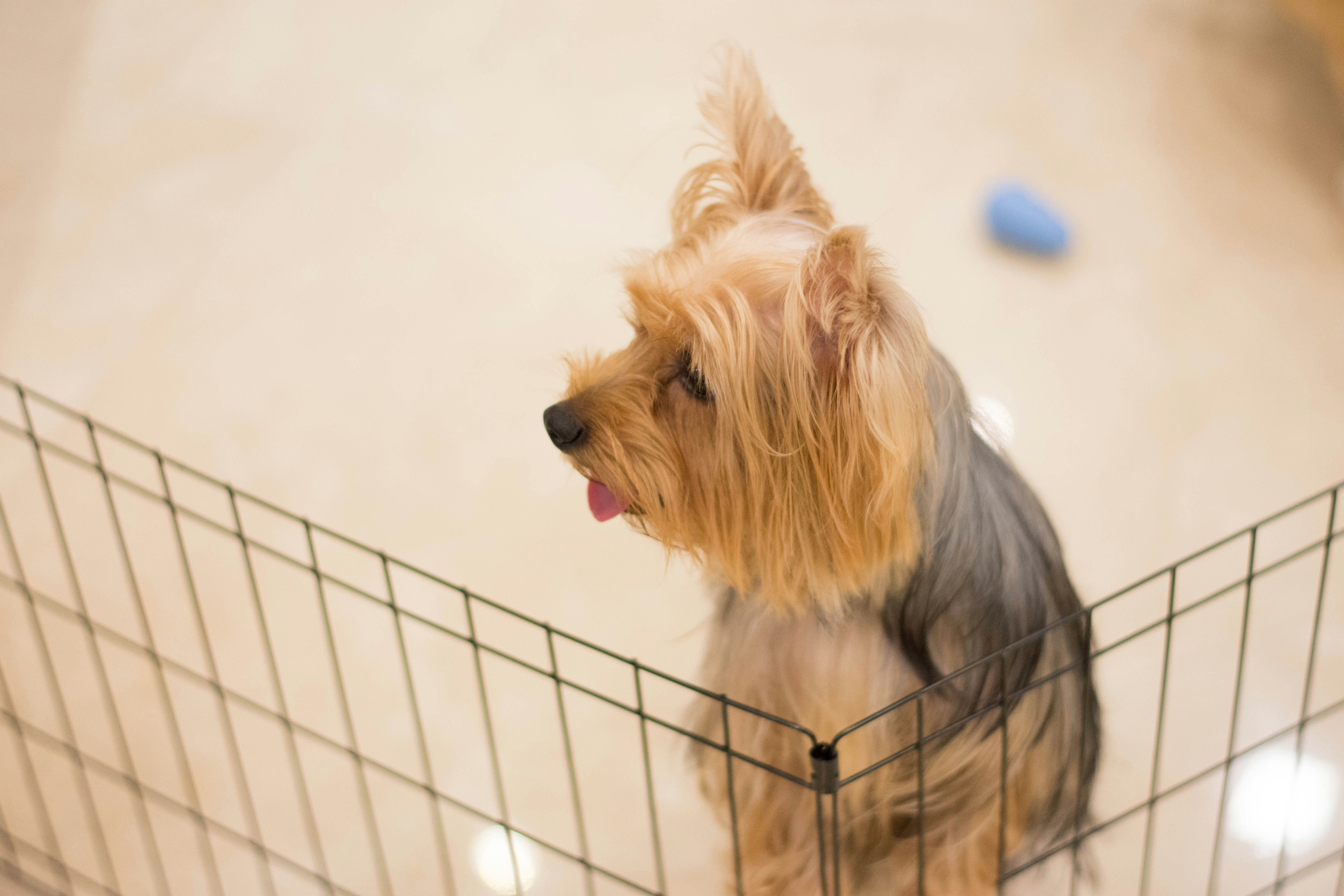 Free Unsplash photo from Nathaniel Yeo