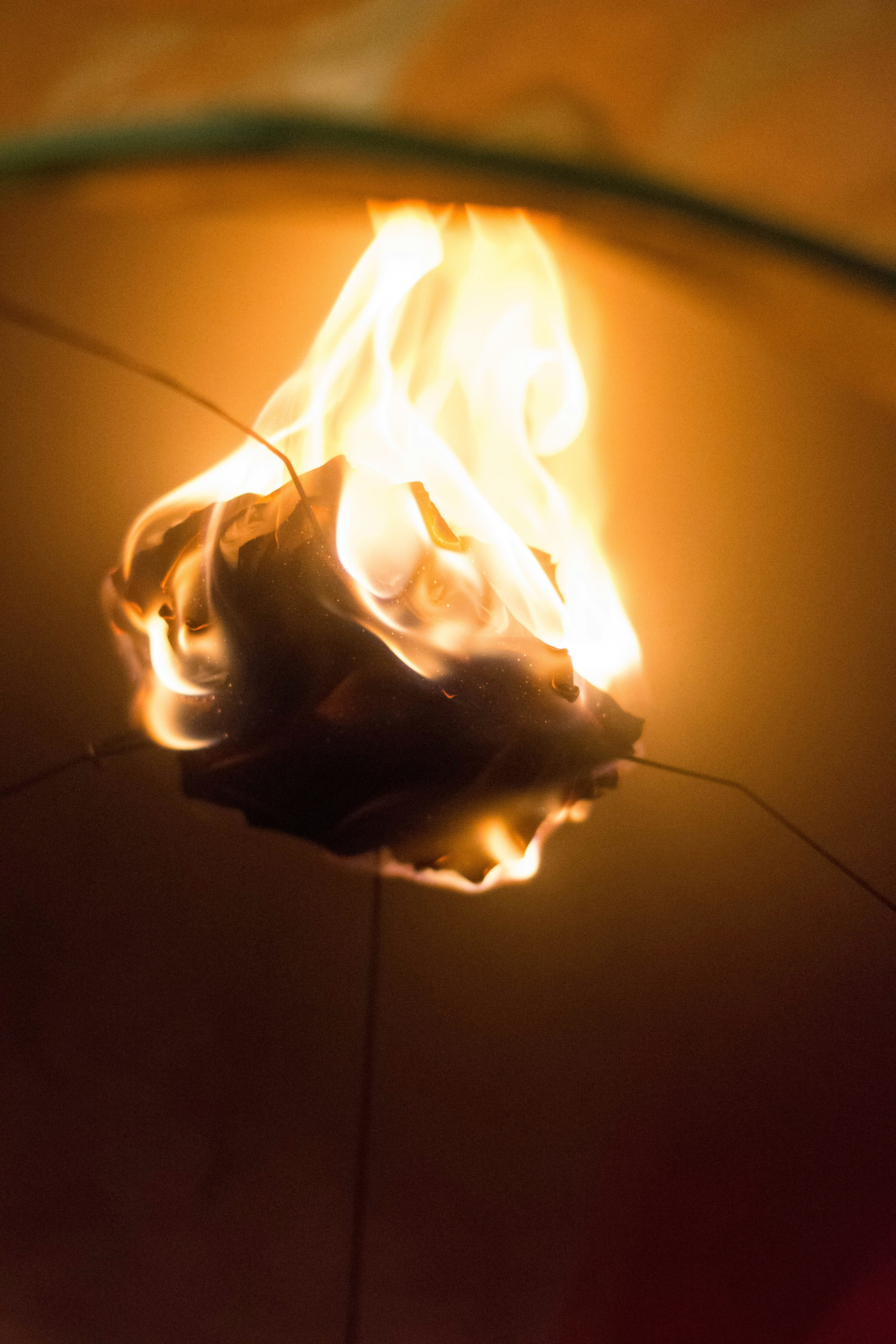 Free Unsplash photo from Nathaniel Yeo