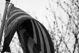 A black and white photograph of an American flag waving gently from a pole, partially unfurled with stars and stripes clearly visible. In the background, bare branches of a tree are silhouetted against a bright, overcast sky.
