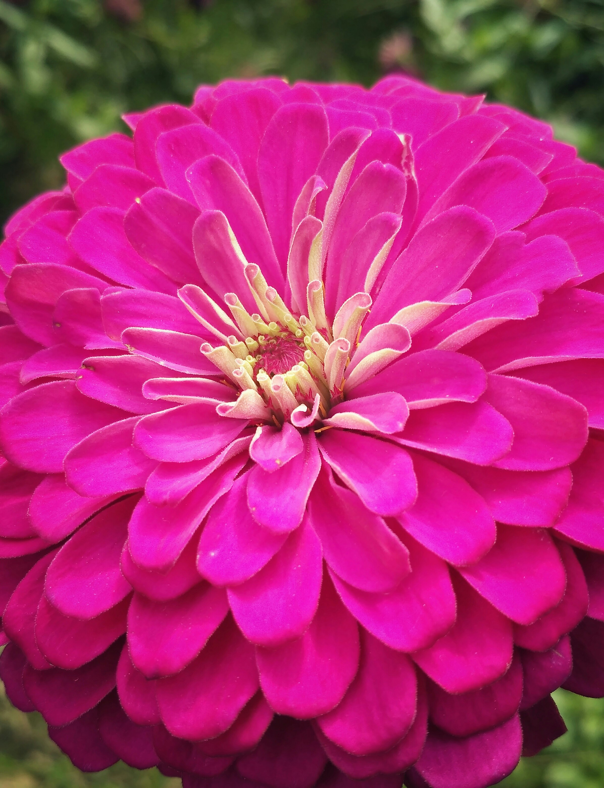 Free Unsplash photo from li ming