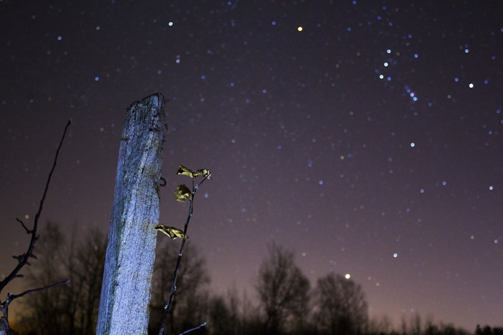 gray wooden stand during nighttime