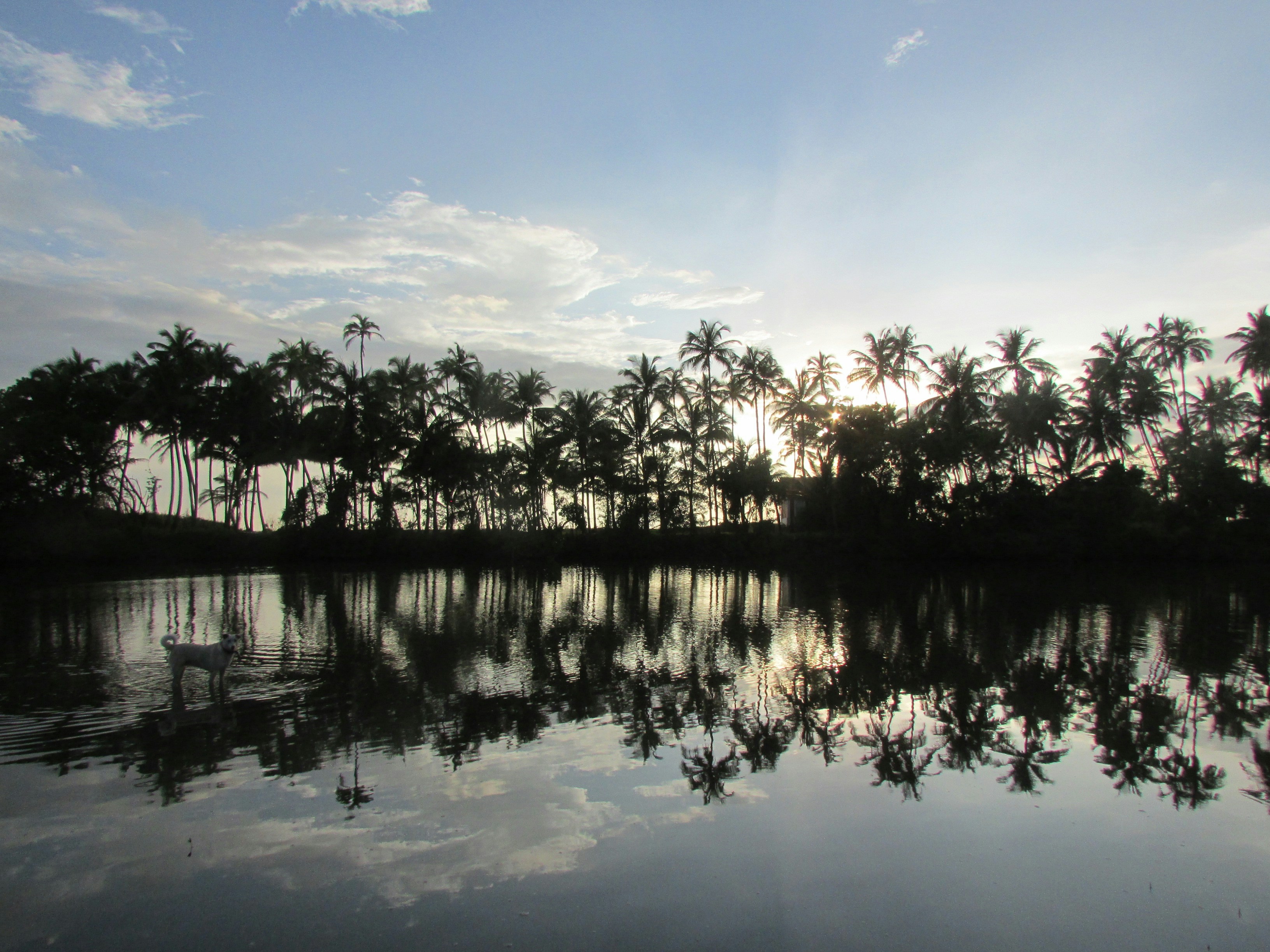 Free Unsplash photo from Jocelyn Bernard