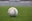 white and gray Adidas soccerball on lawn grass