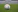 white and gray Adidas soccerball on lawn grass