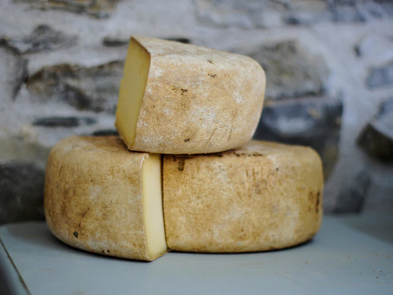 Aged Plant Cheese Wheel