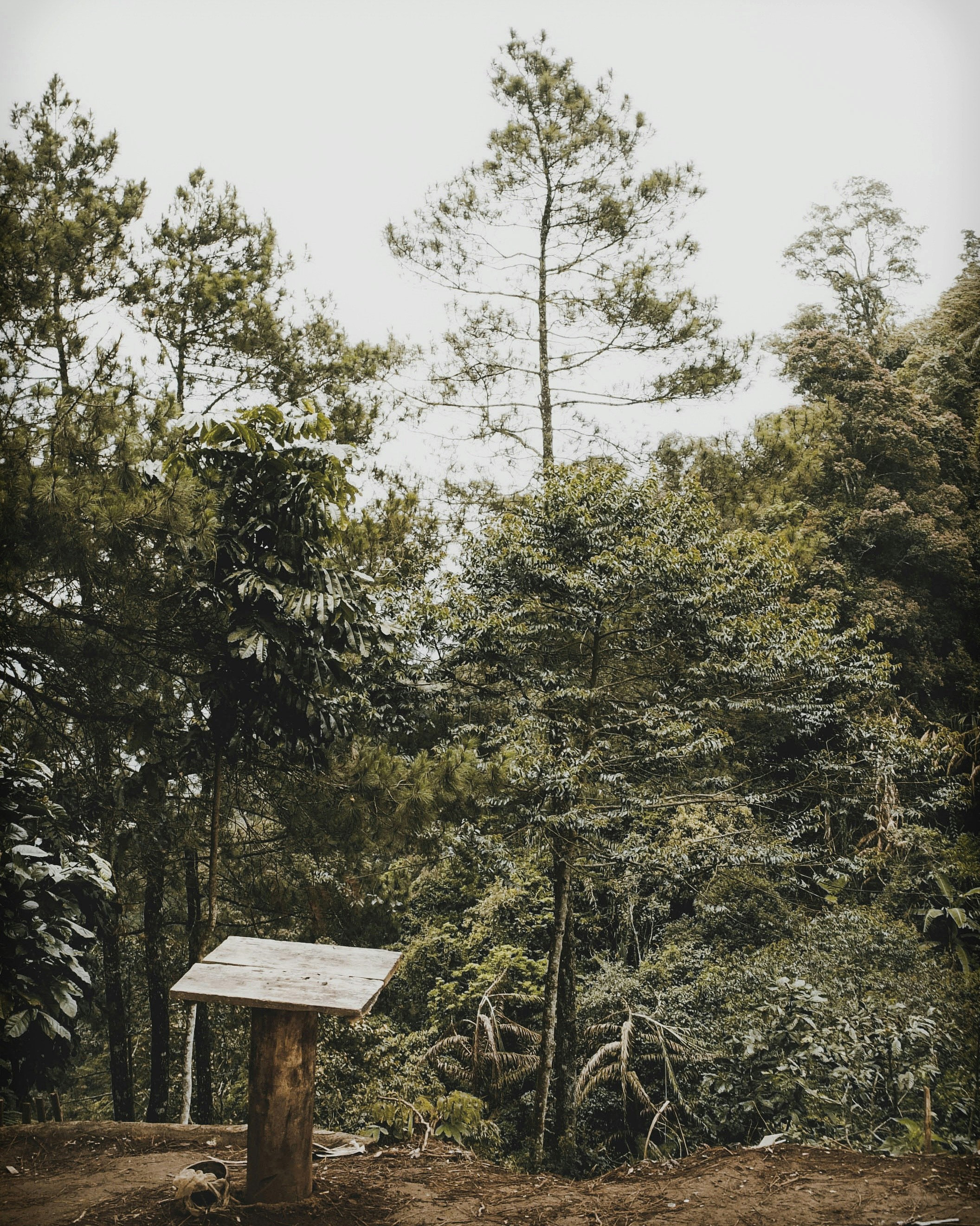 Free Unsplash photo from Dian Herdiansyah