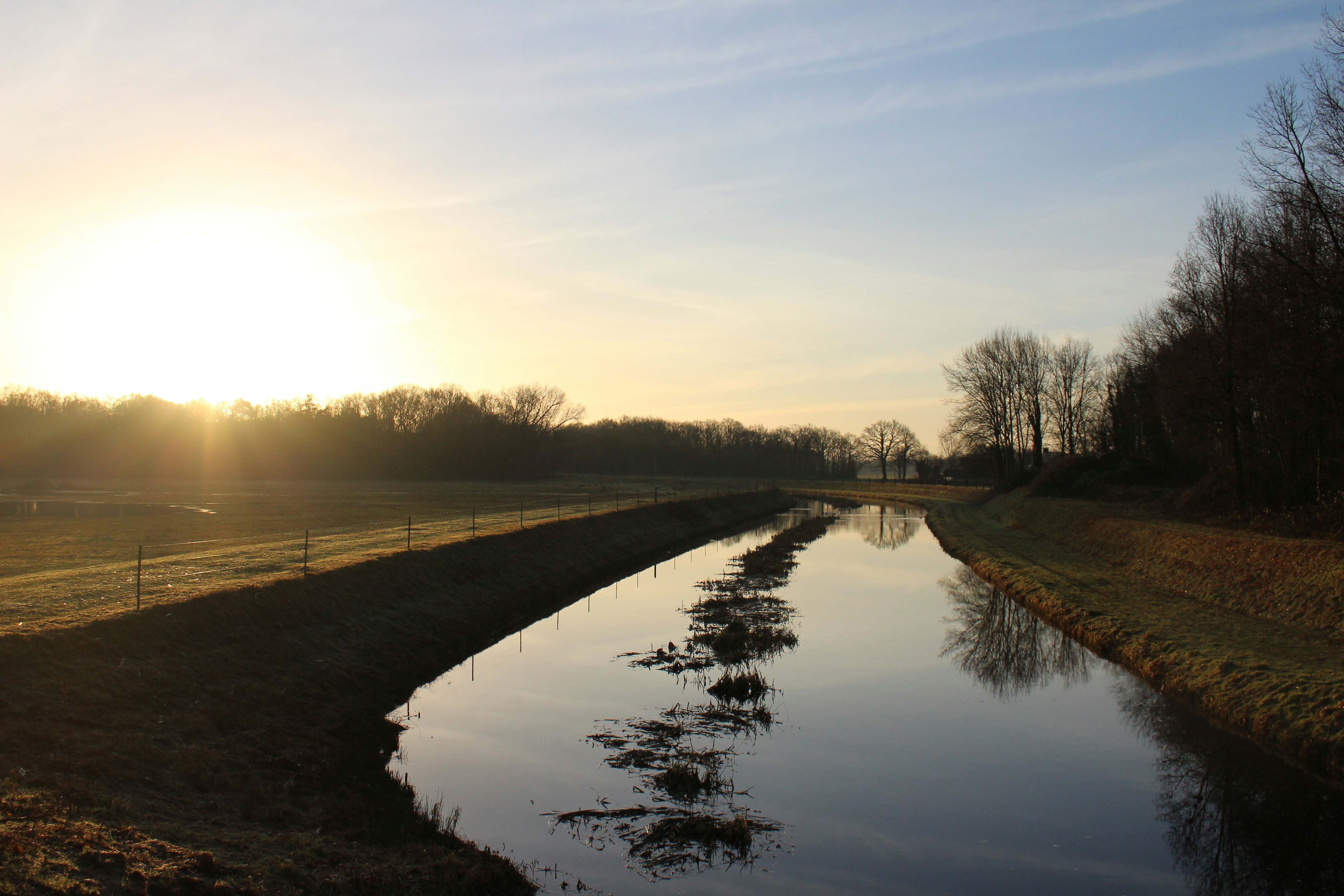 Free Unsplash photo from Koen van Ginkel