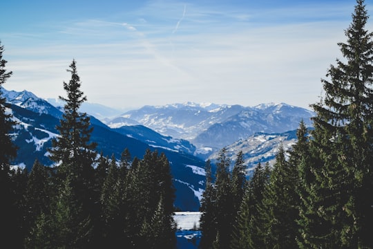 green pine trees and blue mountains under blue sky in Flachau Austria