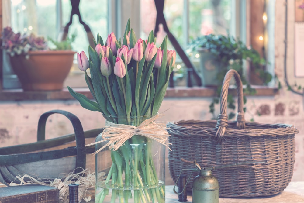 tulipas cor-de-rosa no vaso de vidro transparente ao ar livre durante o dia