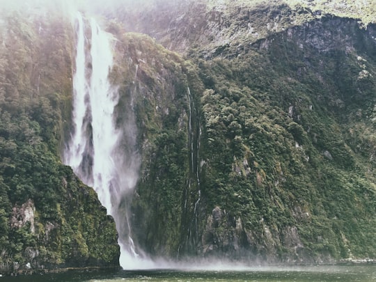 waterfalls surrounded by trees in Milford Sound New Zealand