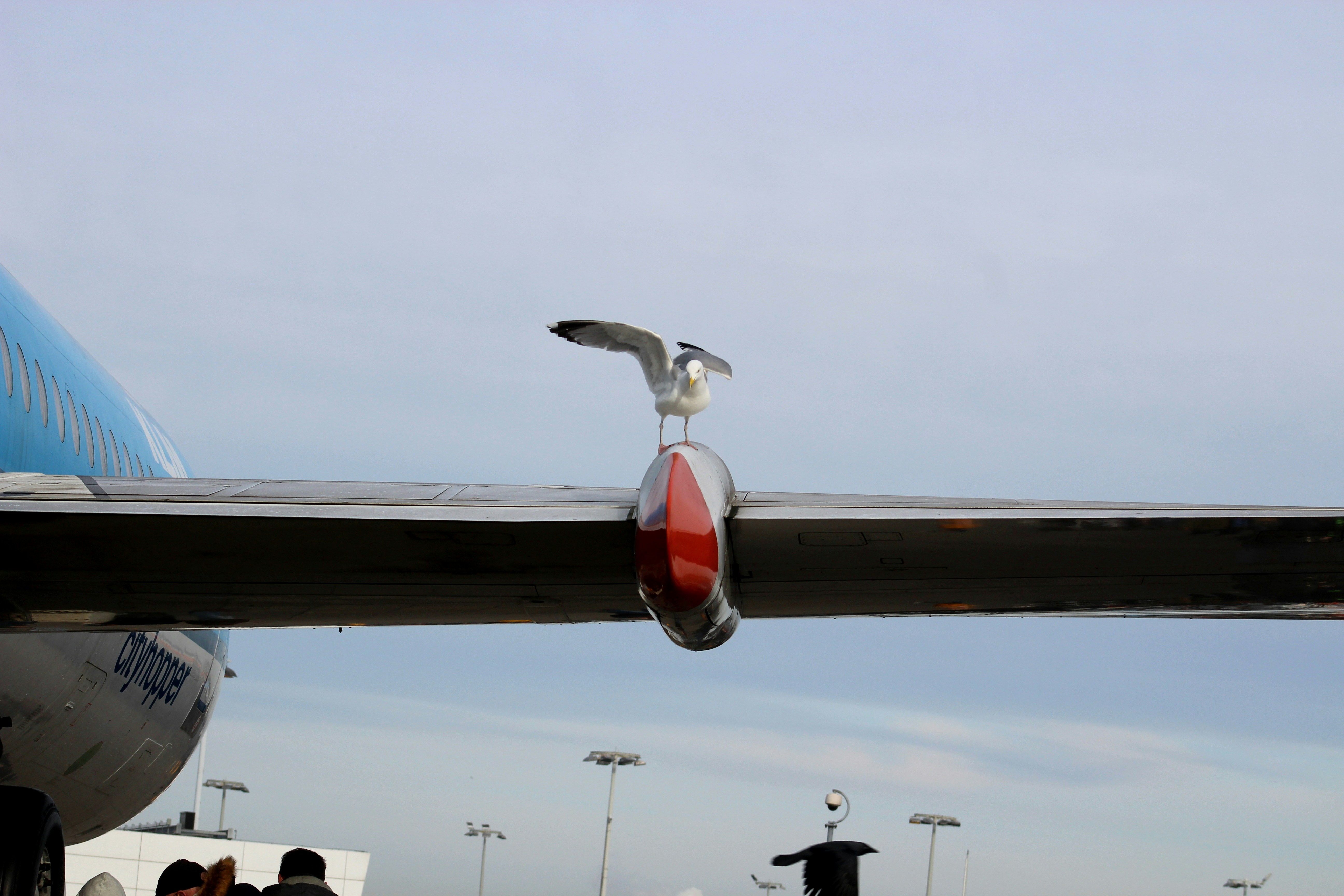 Free Unsplash photo from Mees Ras