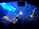 A crowded nightclub scene with a large number of people dancing and socializing under vibrant blue and yellow lights. The club features a modern design with geometric patterns on the ceiling and an illuminated logo at the center. The atmosphere is lively and energetic.