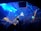 A crowded nightclub scene with a large number of people dancing and socializing under vibrant blue and yellow lights. The club features a modern design with geometric patterns on the ceiling and an illuminated logo at the center. The atmosphere is lively and energetic.