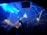 A crowded nightclub scene with a large number of people dancing and socializing under vibrant blue and yellow lights. The club features a modern design with geometric patterns on the ceiling and an illuminated logo at the center. The atmosphere is lively and energetic.