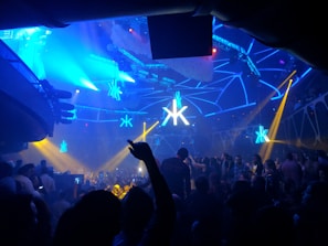 A vibrant crowd dancing under neon lights at a luxury club night.