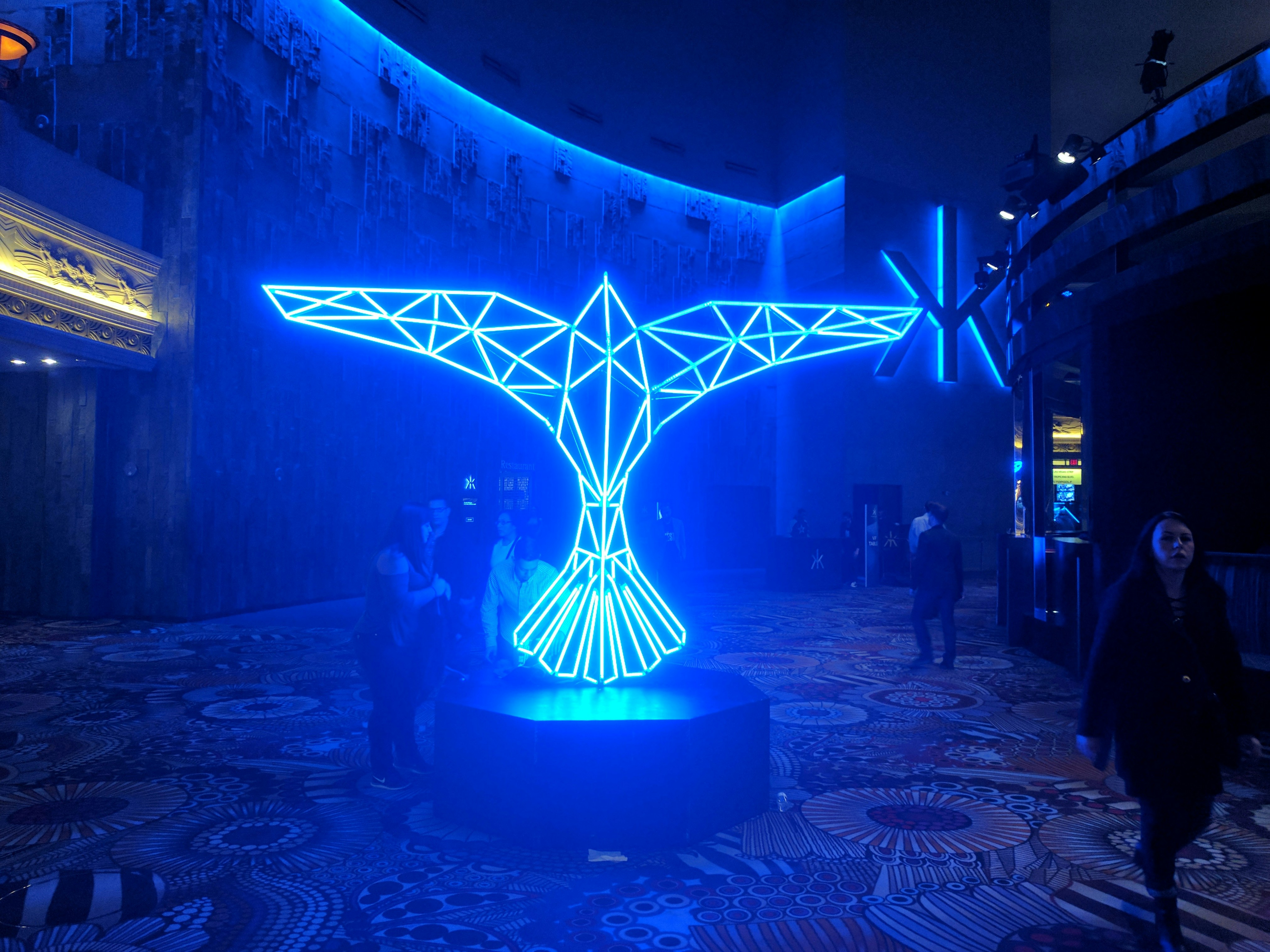 Free Unsplash photo from Naveen Mohan