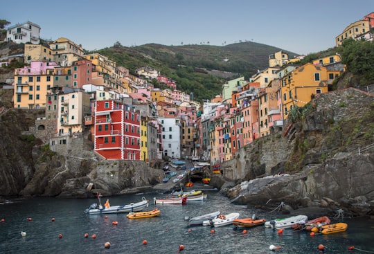 assorted boats on body of water during daytime in Manarola Italy