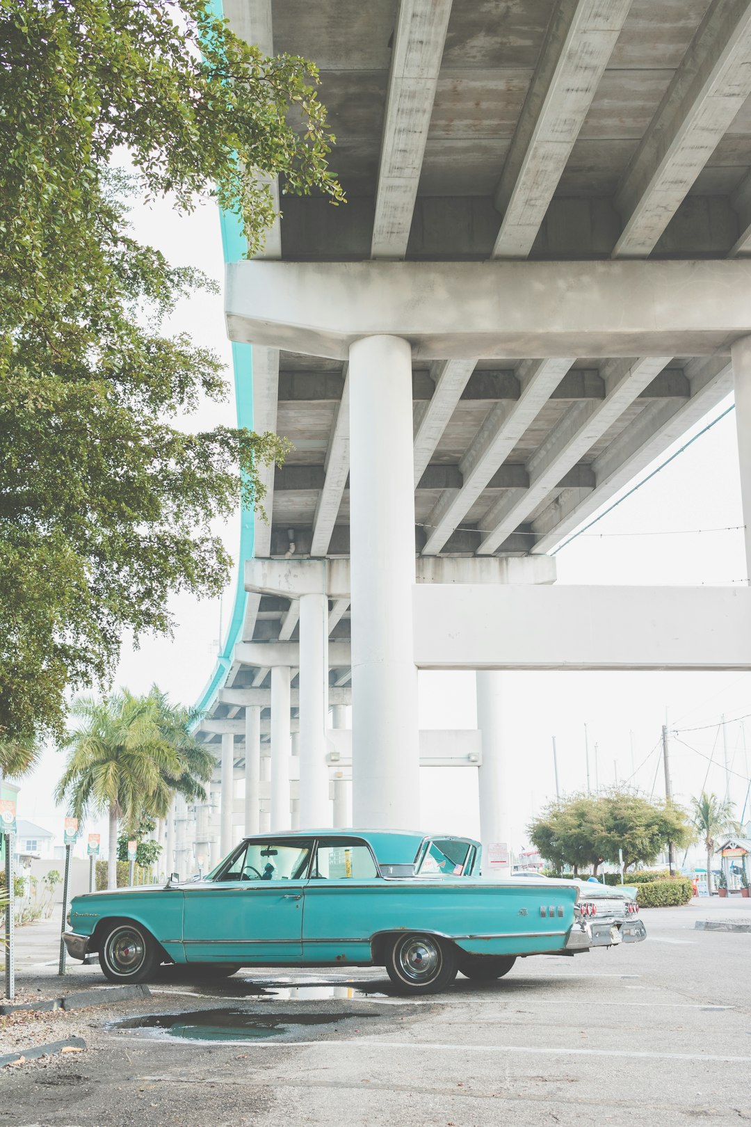 classic teal Chevrolet Impala hardtop coupe parked near tree under flyover during daytime