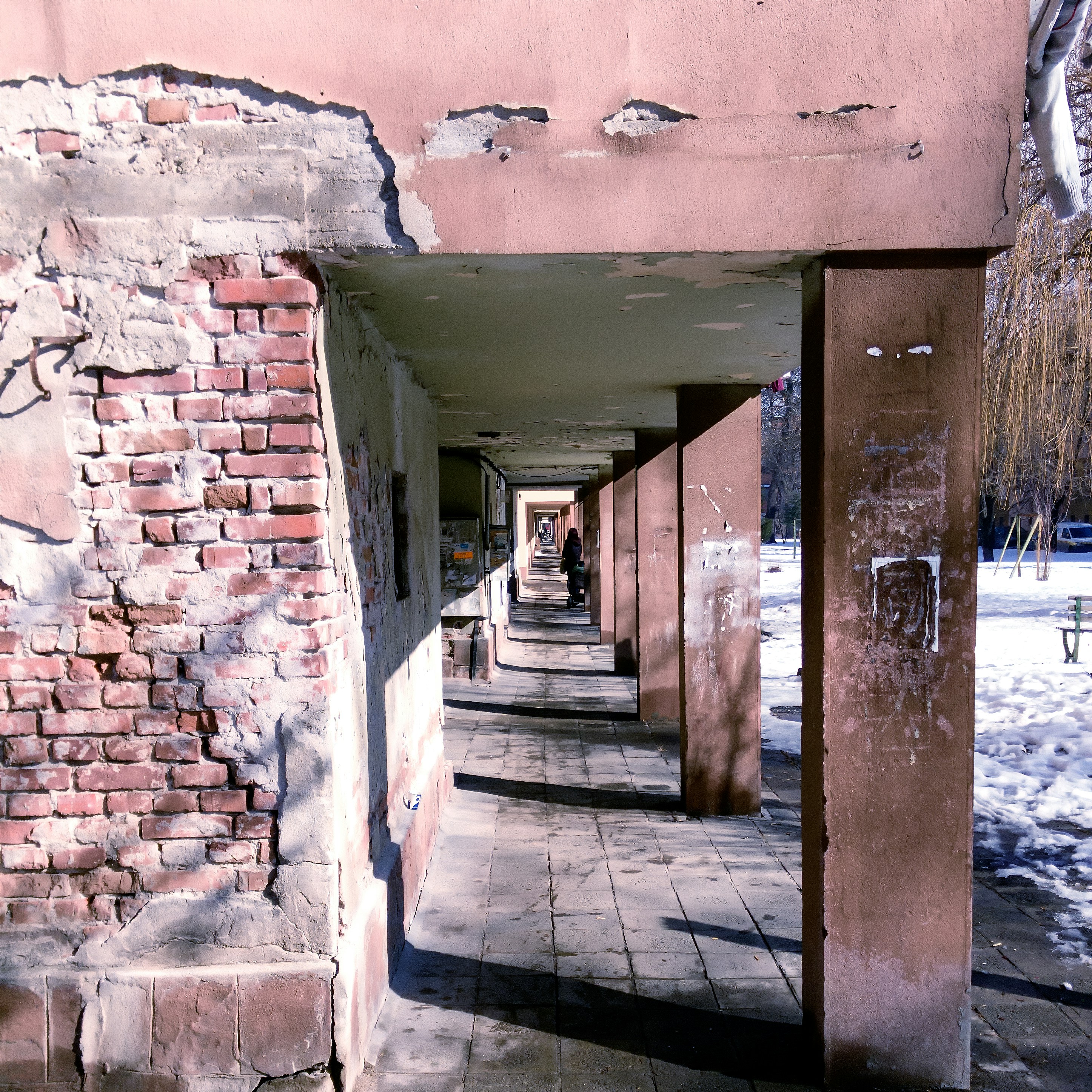 Free Unsplash photo from Angel Petrov