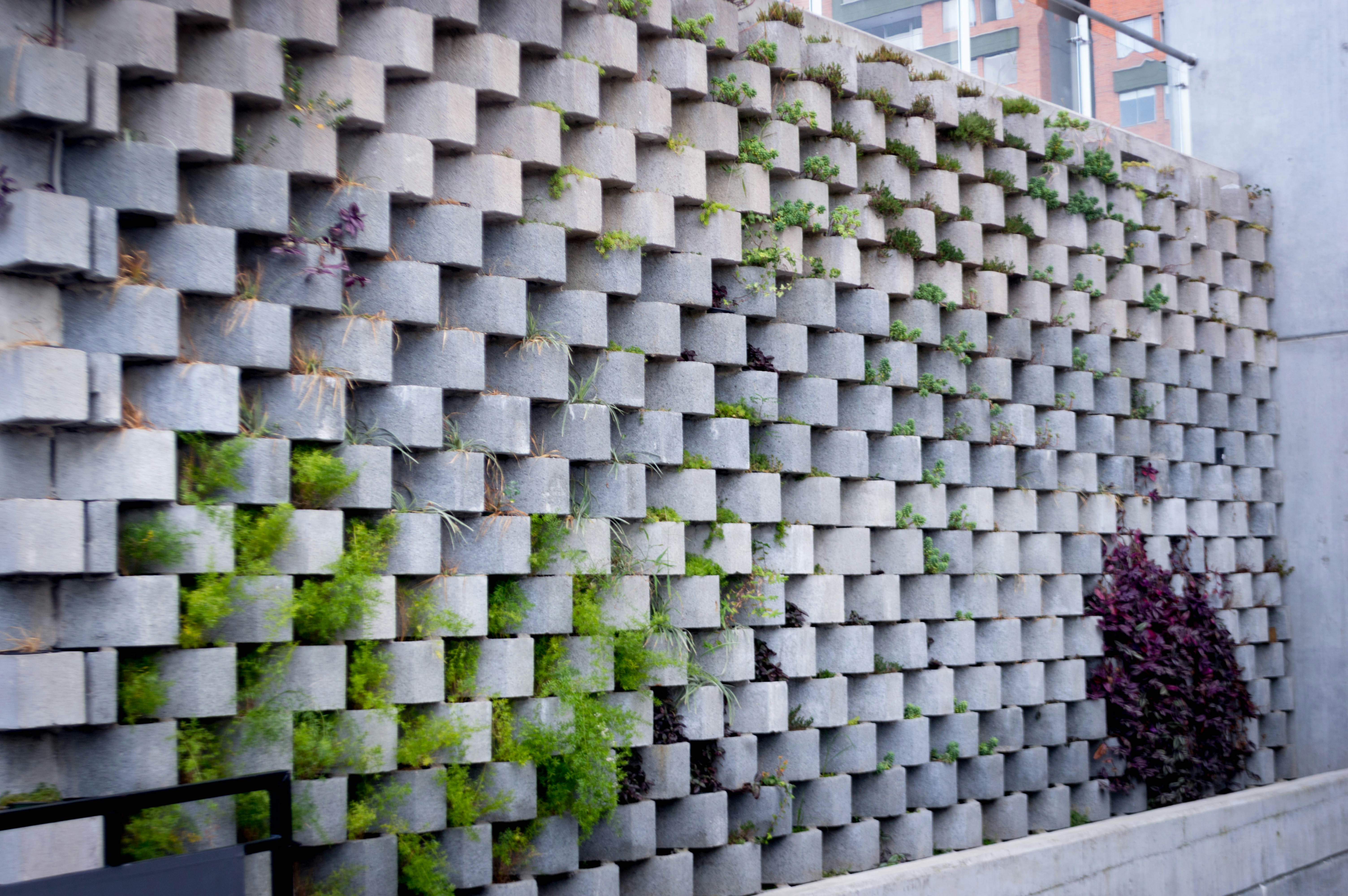 Free Unsplash photo from David Cortes