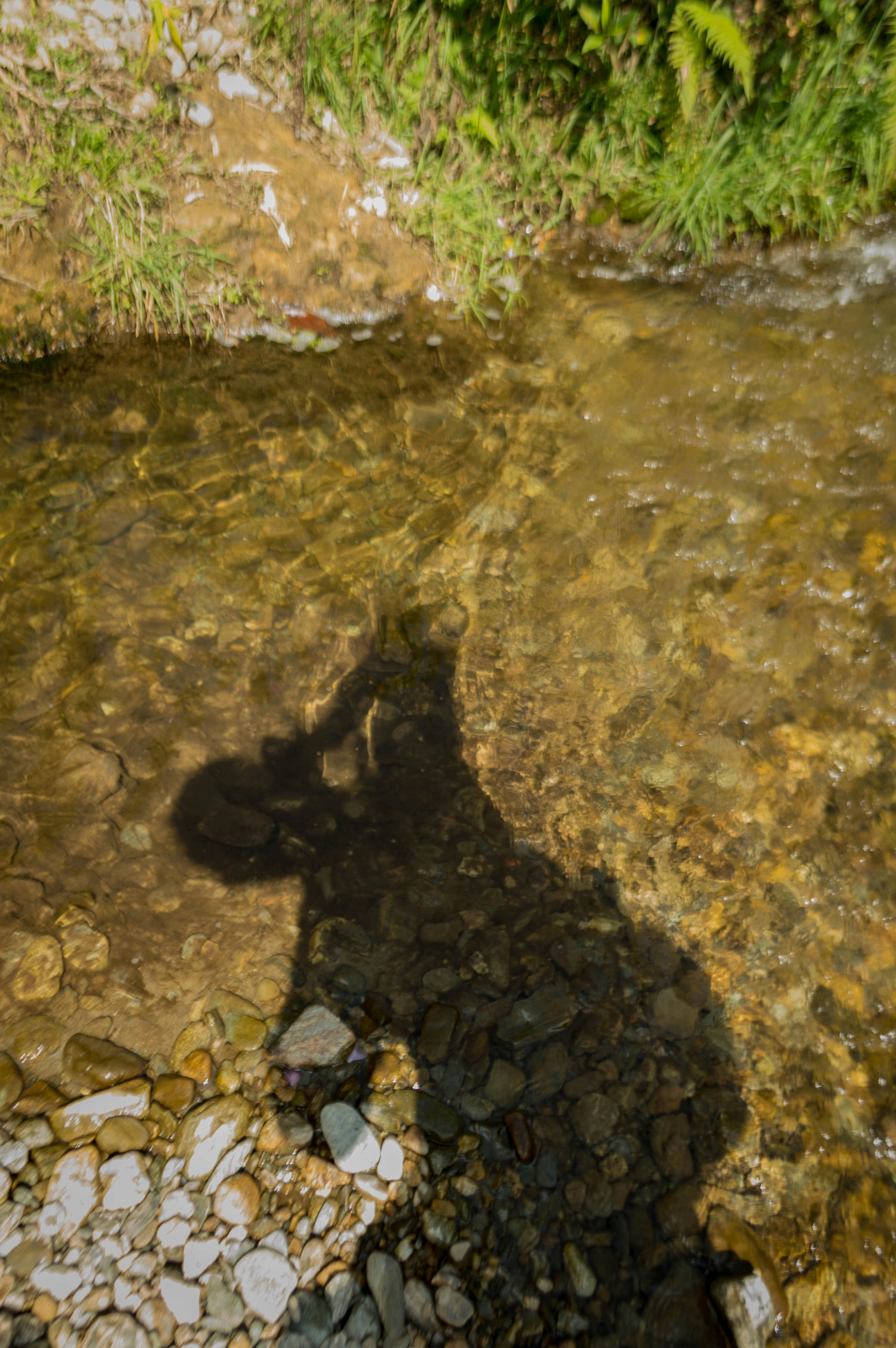 Free Unsplash photo from David Cortes