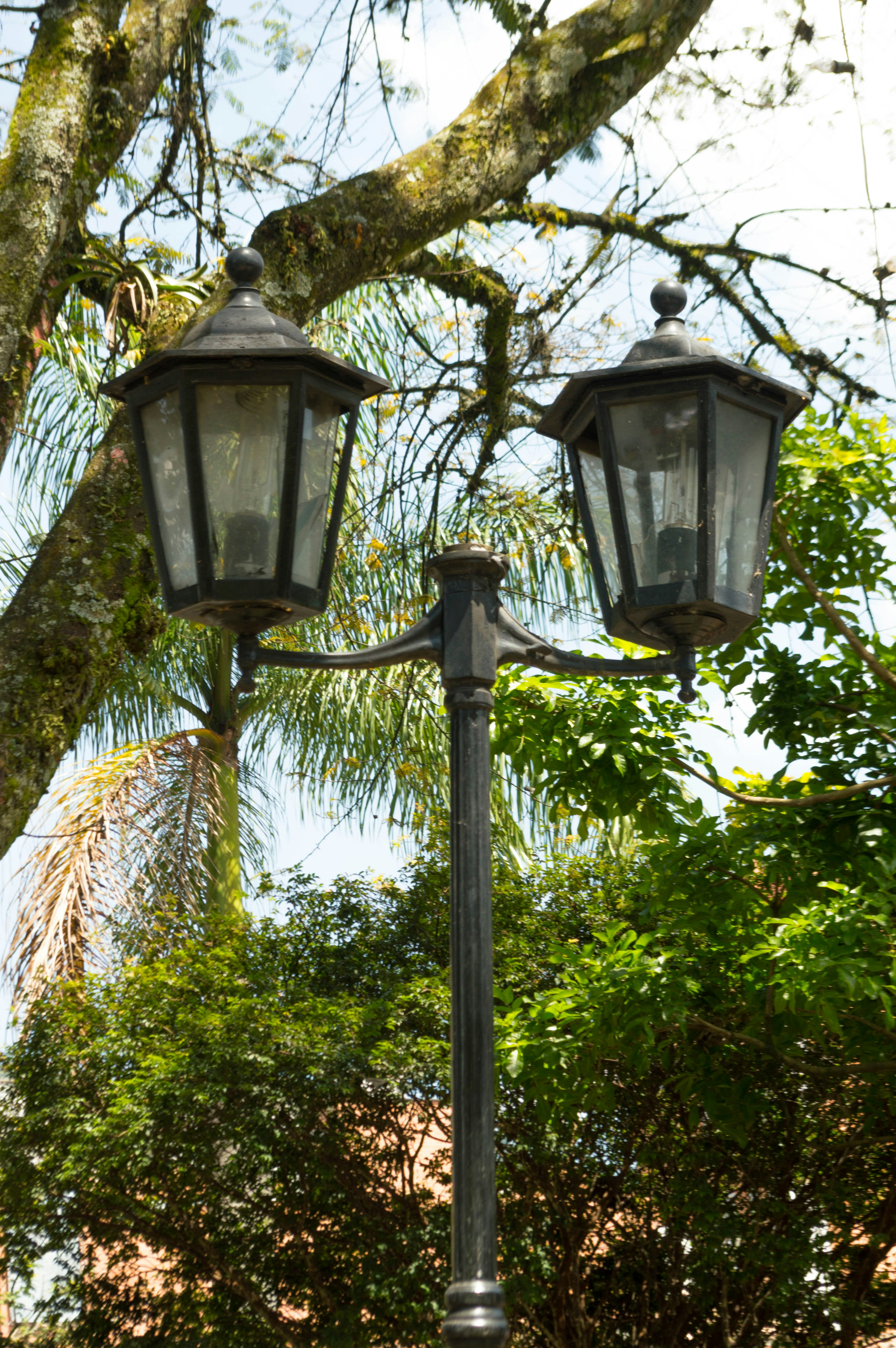 Free Unsplash photo from David Cortes