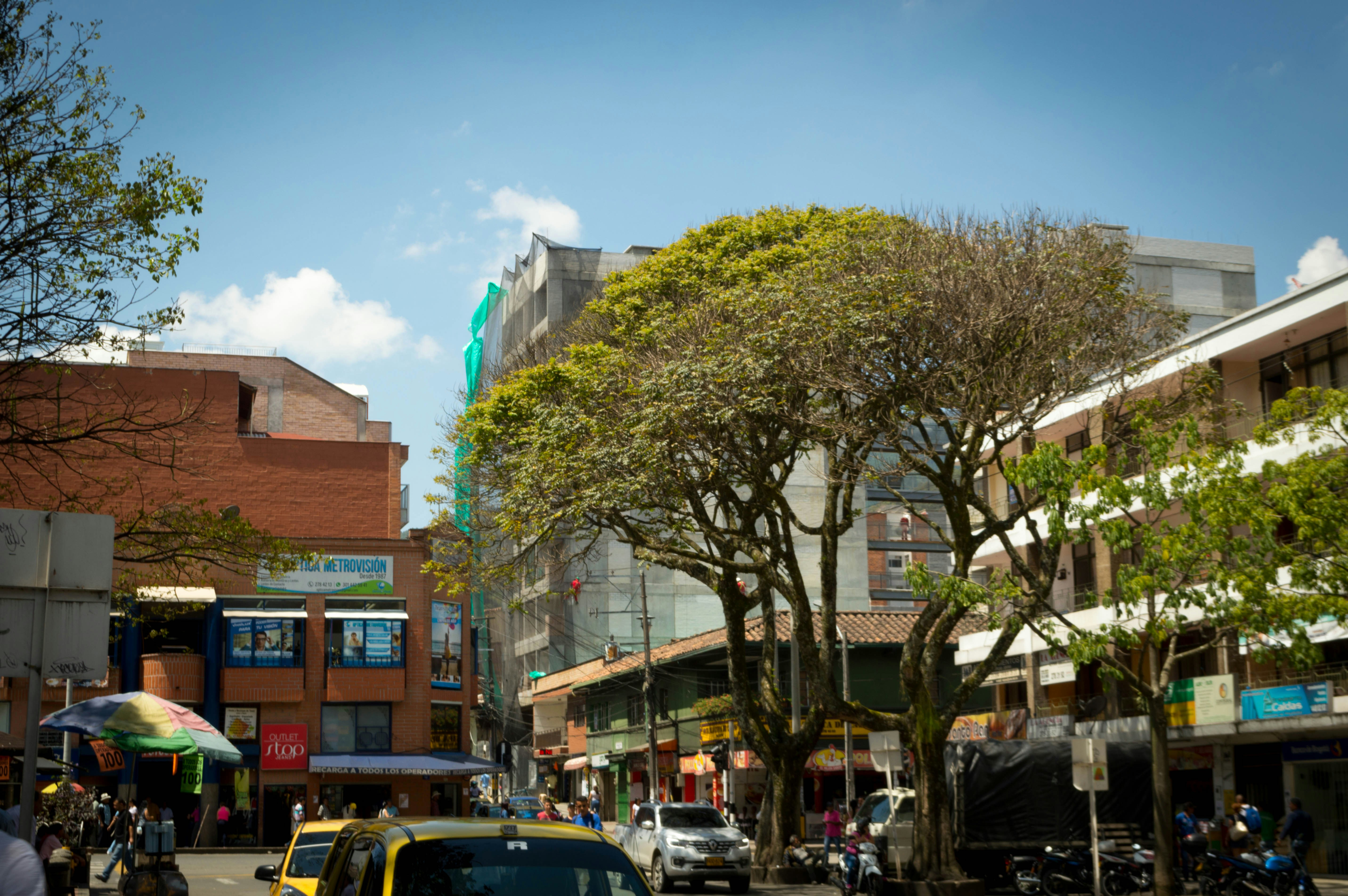 Free Unsplash photo from David Cortes