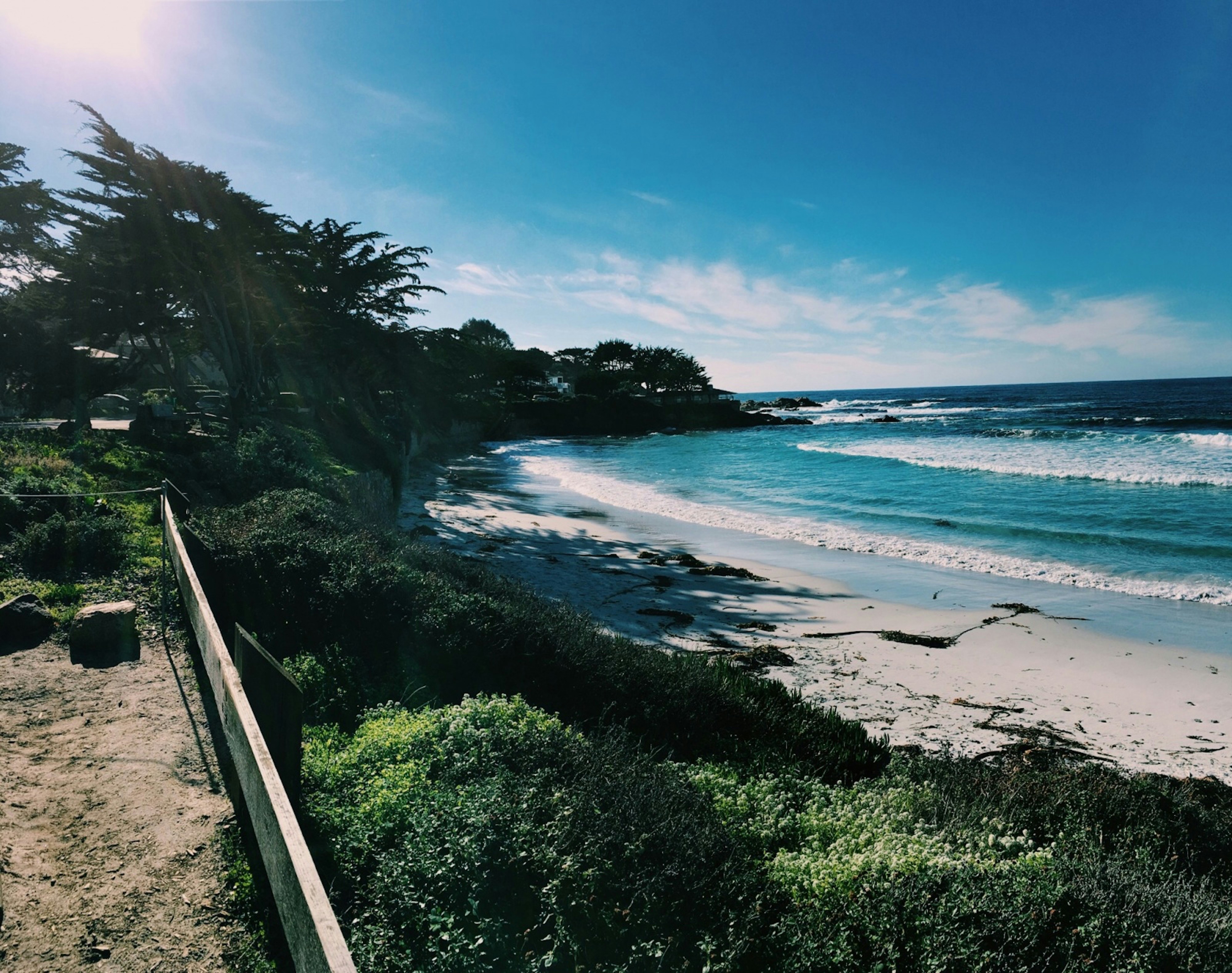 Free Unsplash photo from Mya Brannan