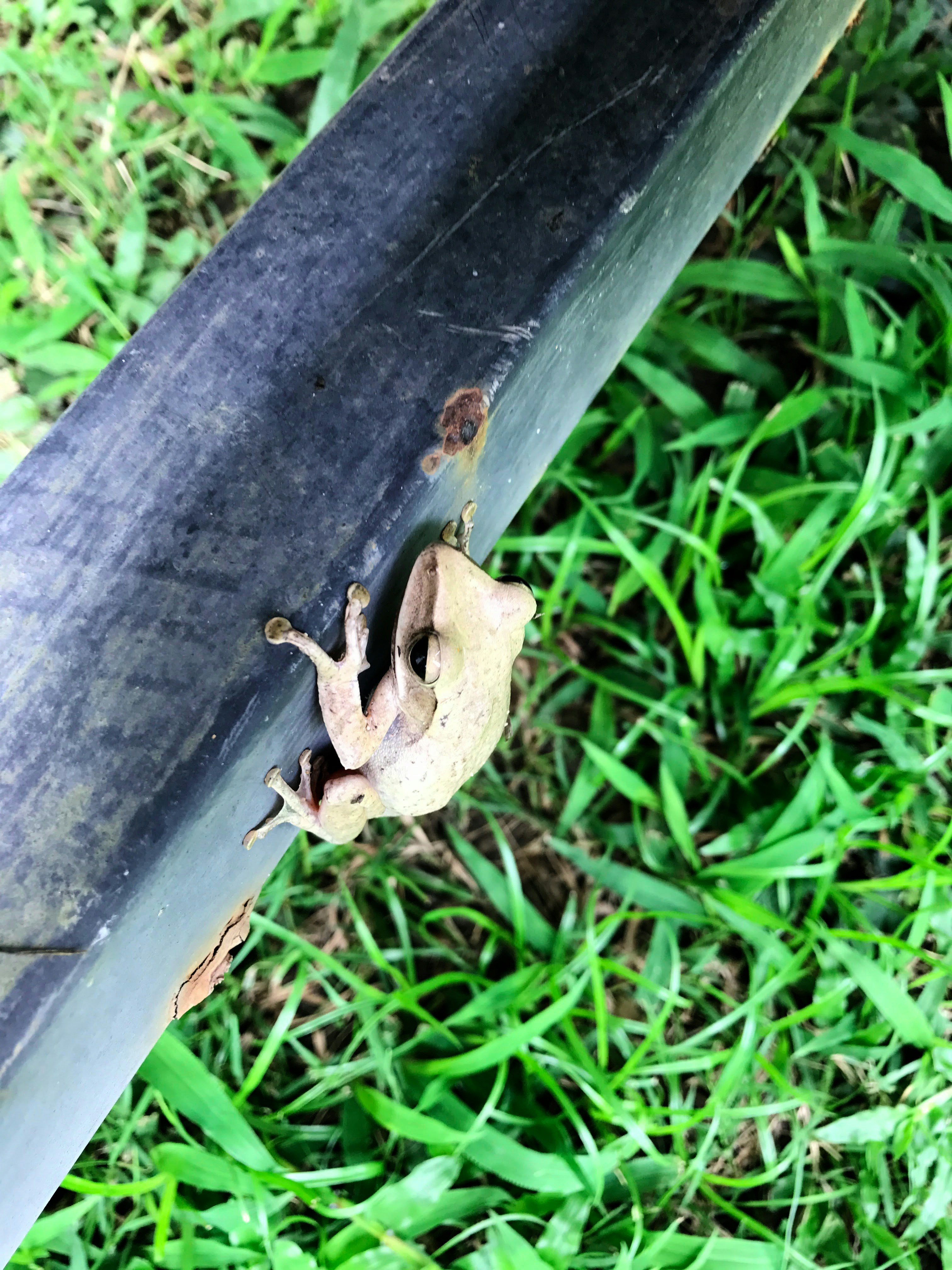 Free Unsplash photo from Ivan Sosnovik