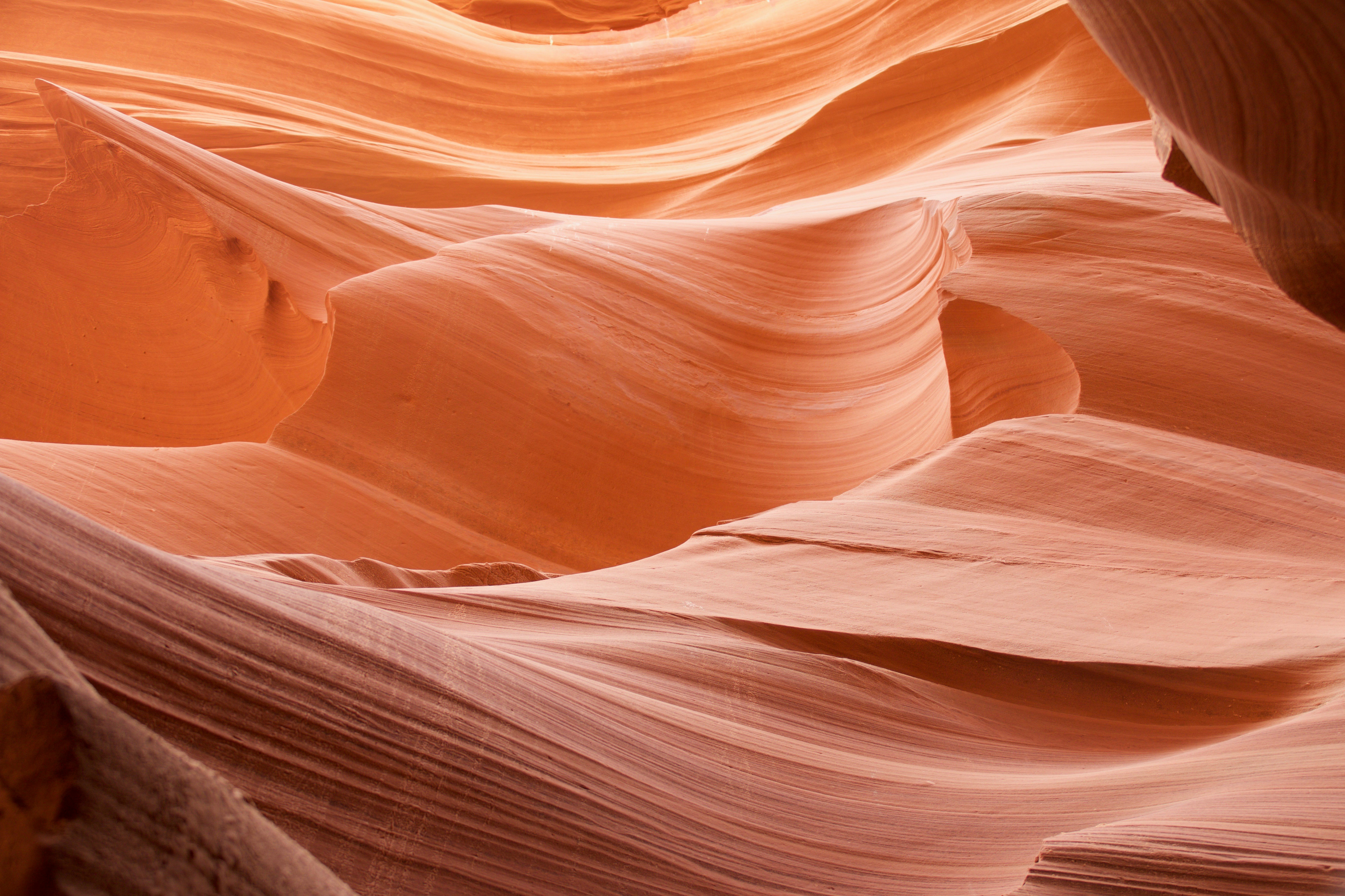 Free Unsplash photo from Stephen Oliver