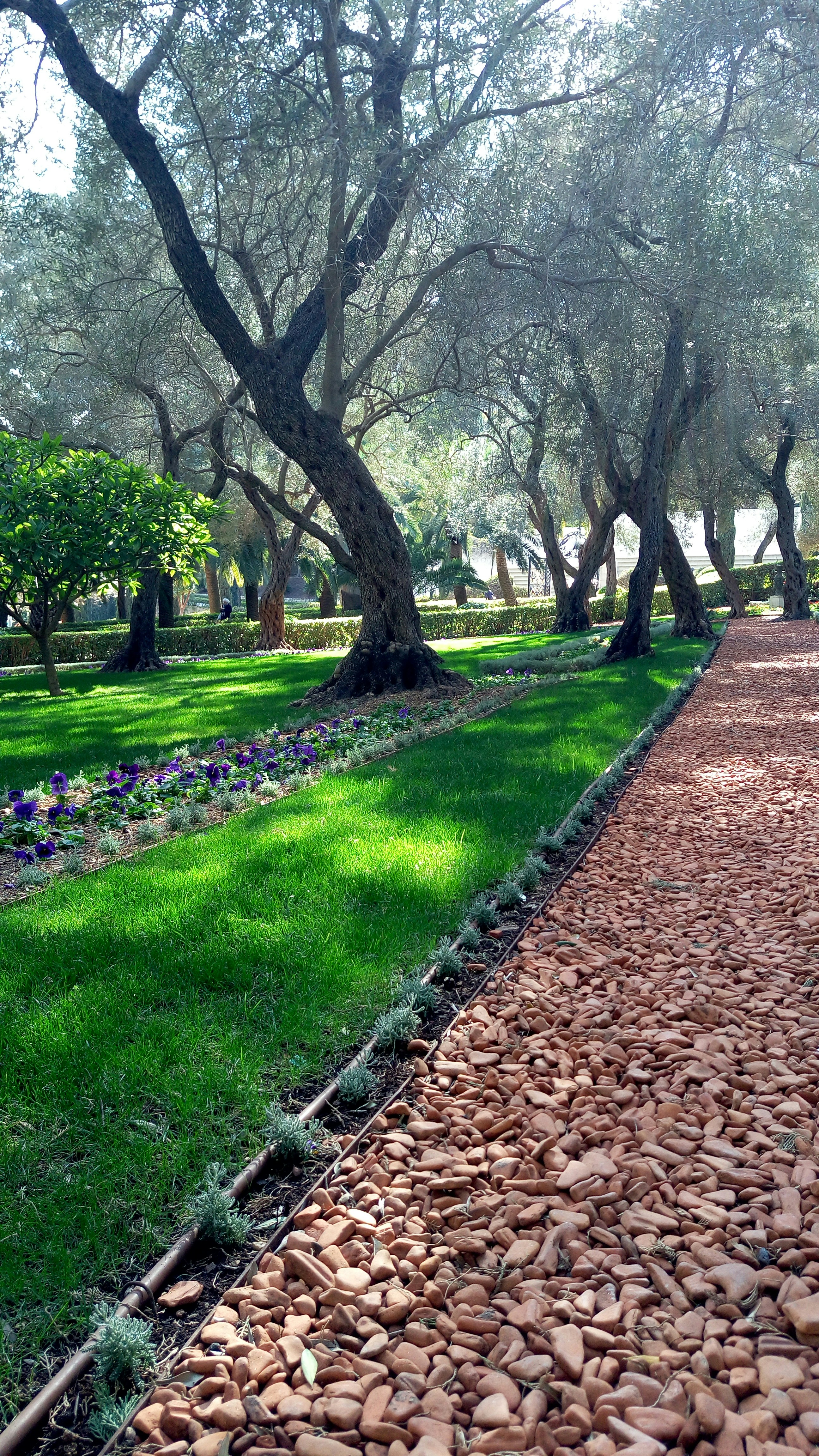 Free Unsplash photo from Stan Lee