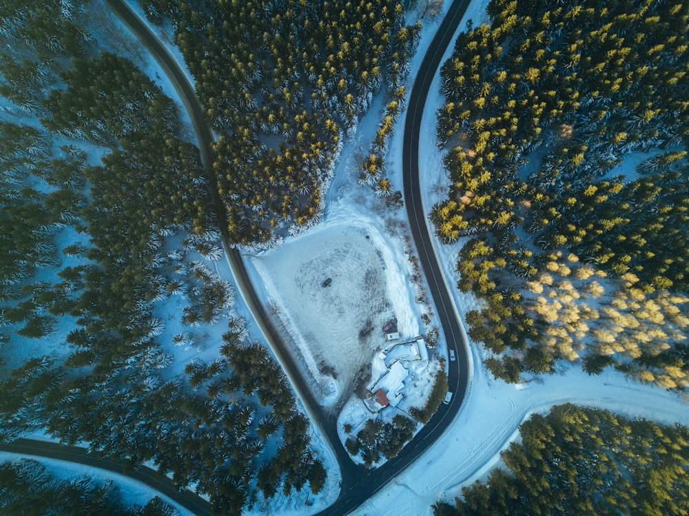 aerial photography of road surrounded by trees