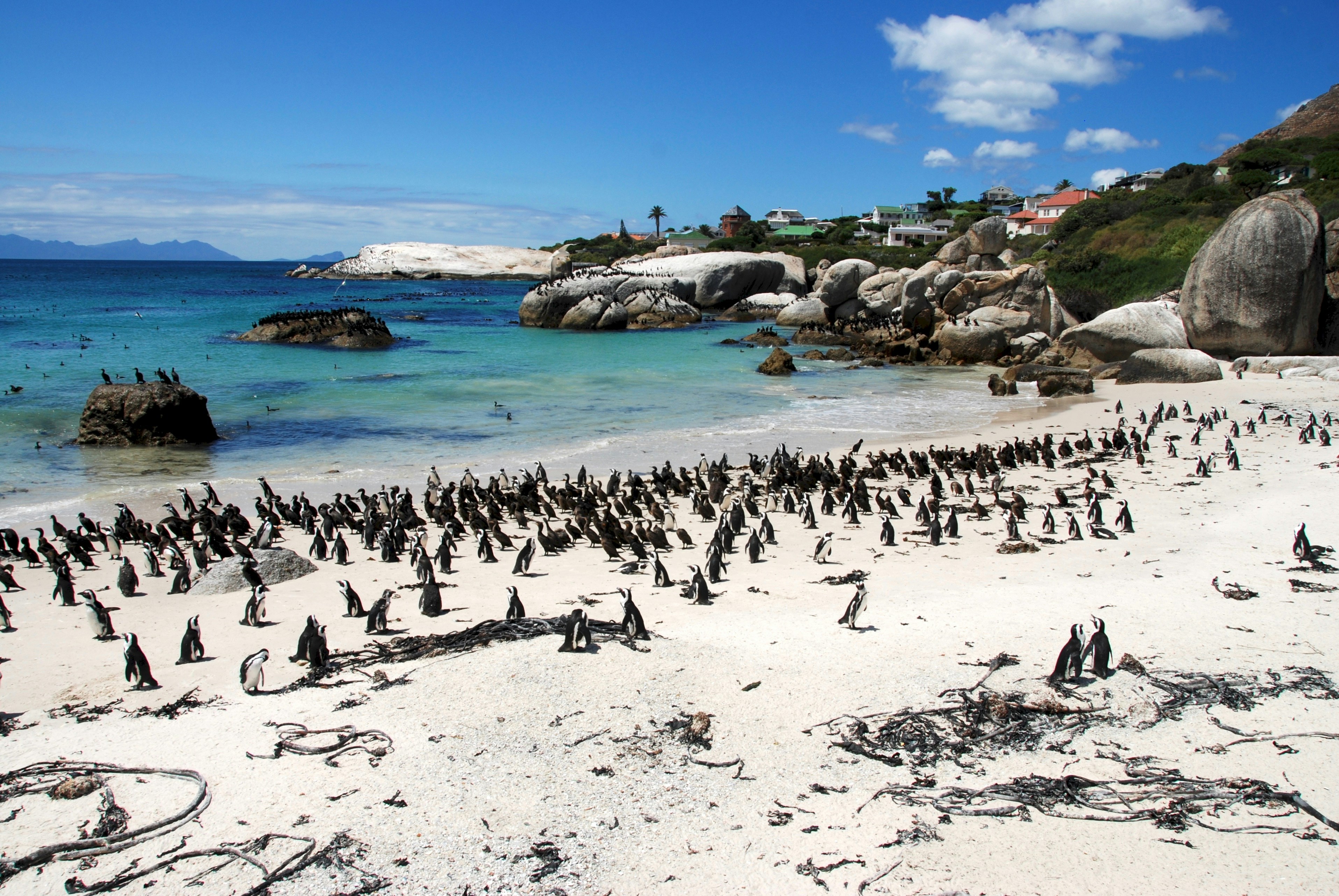 Free Unsplash photo from Carlos Ruiz