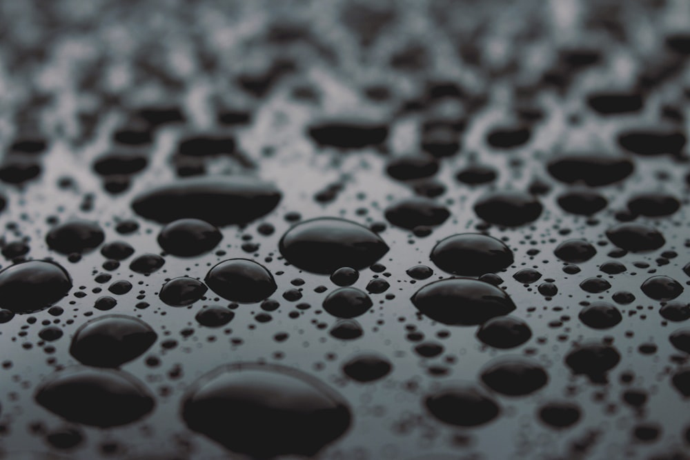macro photo of water droplets