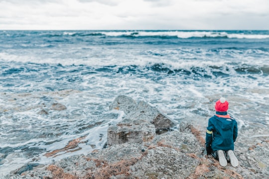 person on hilltop staring at body of water in Brantevik Sweden