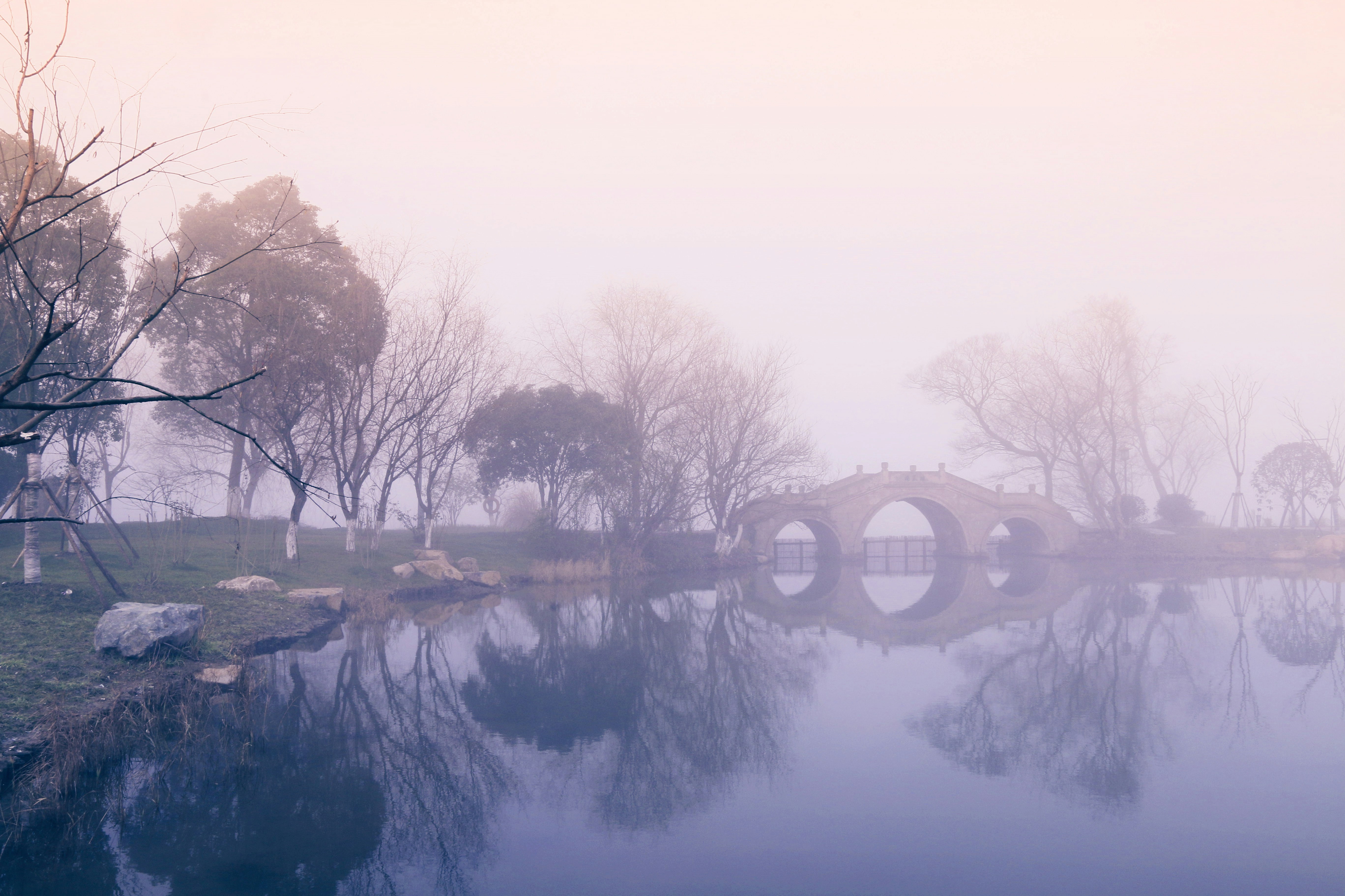 Free Unsplash photo from ChengQi Sun