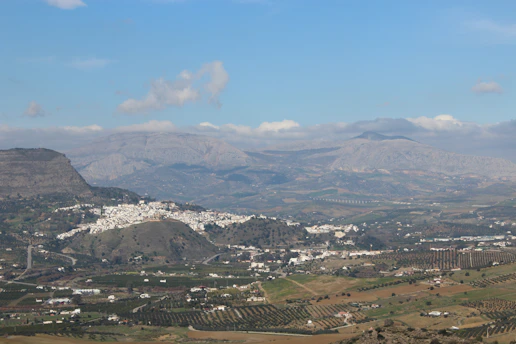 A scenic view of a peaceful Andalusian neighborhood with olive groves and distant mountains.
