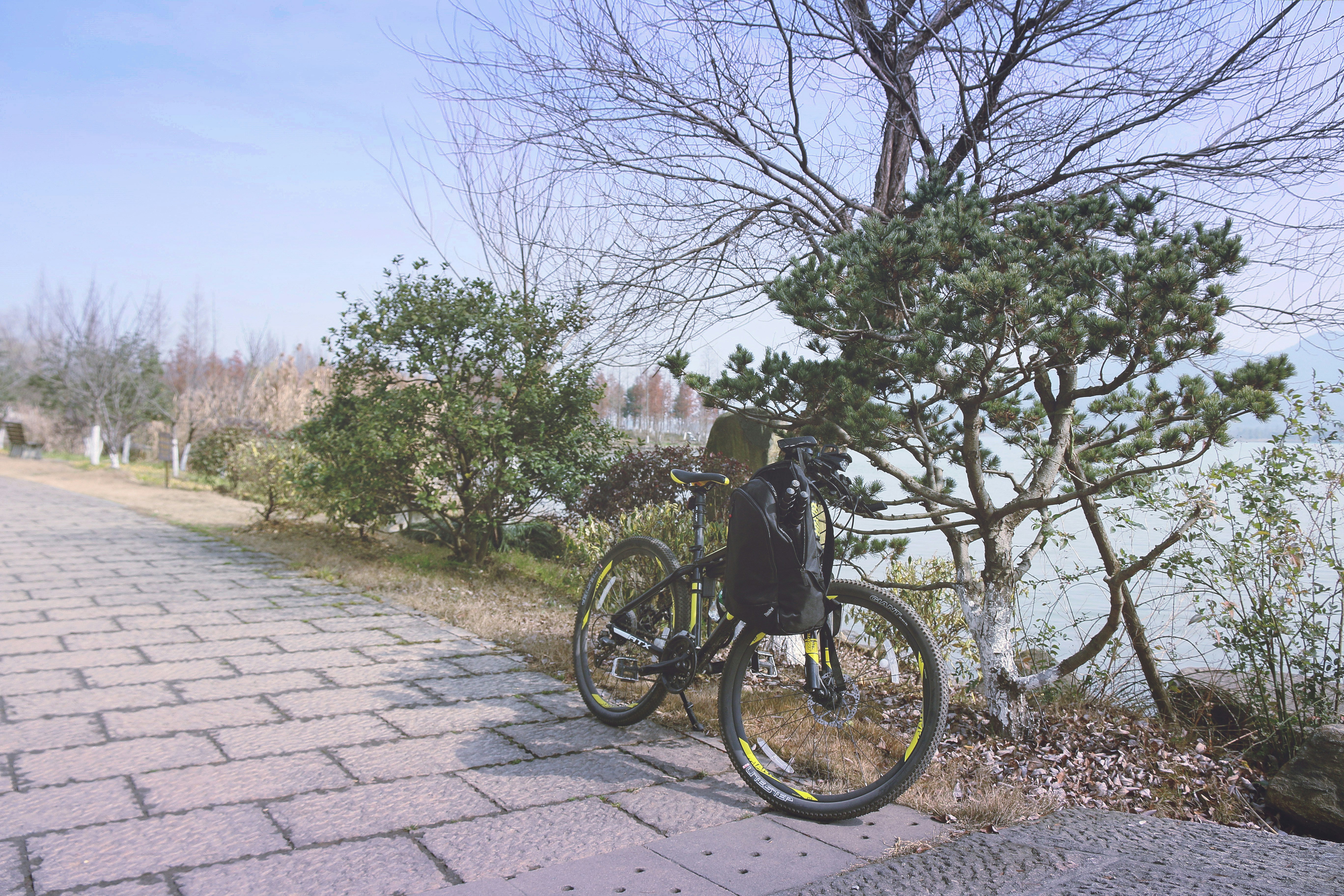 Free Unsplash photo from ChengQi Sun