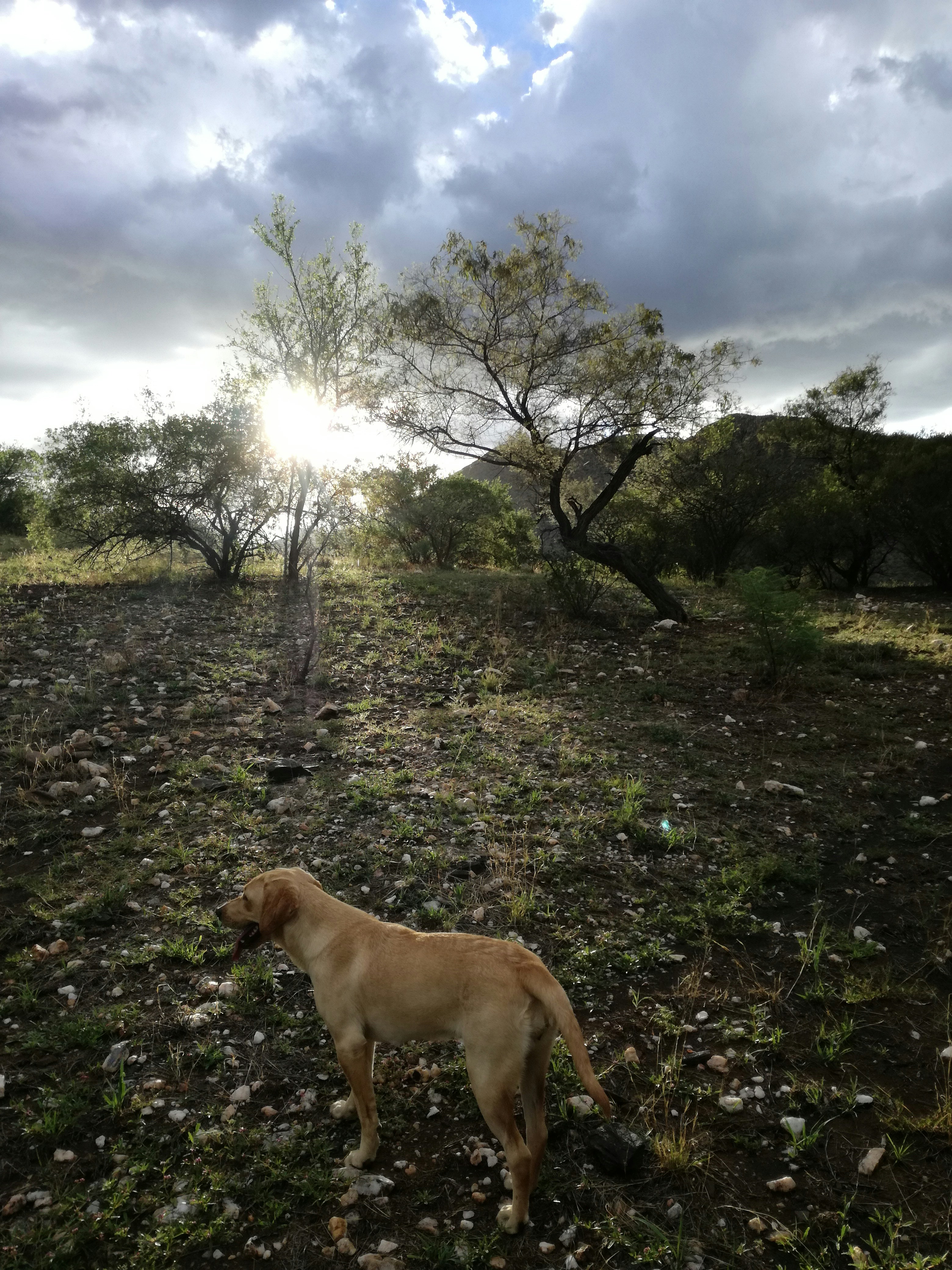 Free Unsplash photo from Stephan Stroh